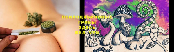 ешки Баксан
